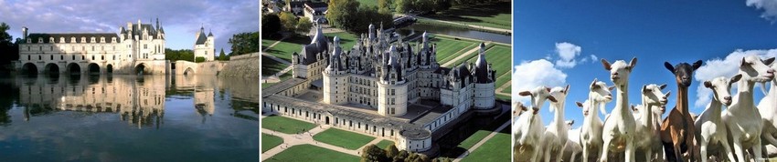 Chenonceau - Chambord - chèvrerie.jpg