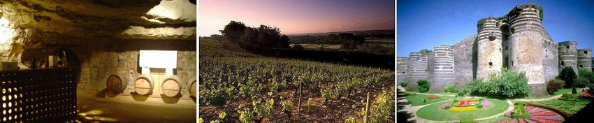 Loire Valley wine tour - Angers.jpg