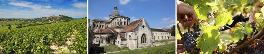 Sancerre wine tour.jpg