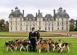 chateau of cheverny in the loire valley