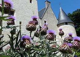 Chateau of Rivau and gardens in the Loire Valley