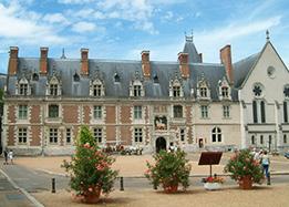 chateau of blois in the loire valley